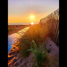 Pathway To Sunrise 16x24