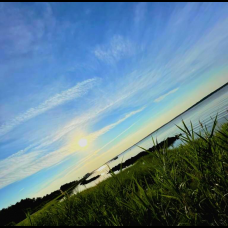 Side View Of Nature 24x24